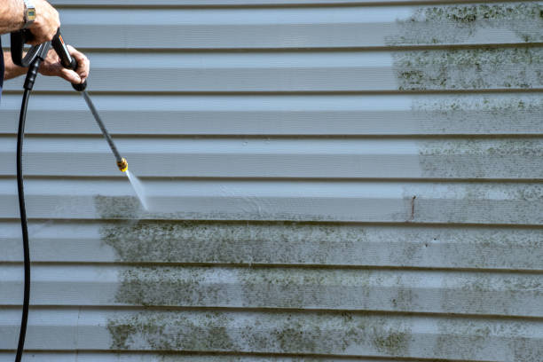Shed Removal in Heber Springs, AR